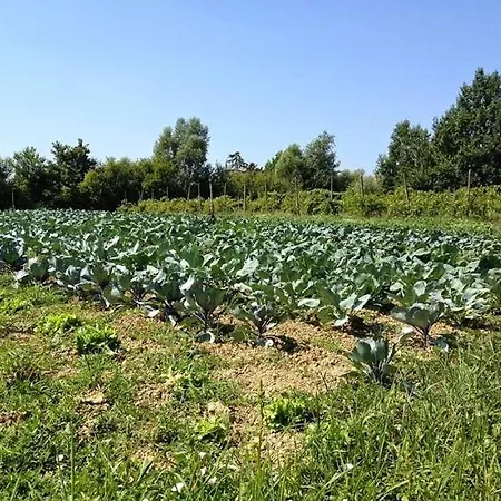 Beautiful Vendégház *